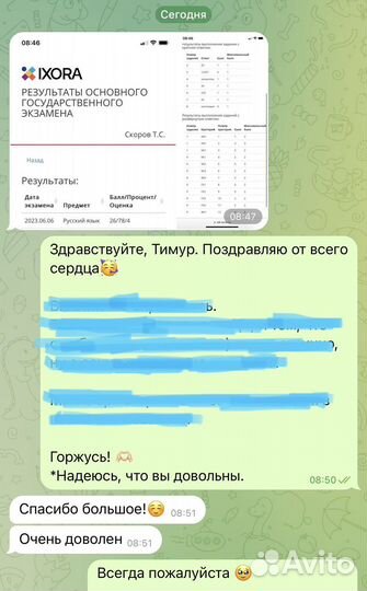 Репетитор по русскому языку и литературе