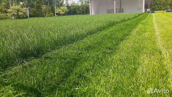 Уход за участком