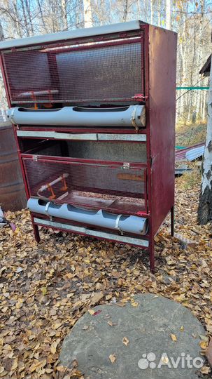 Брудер для кур