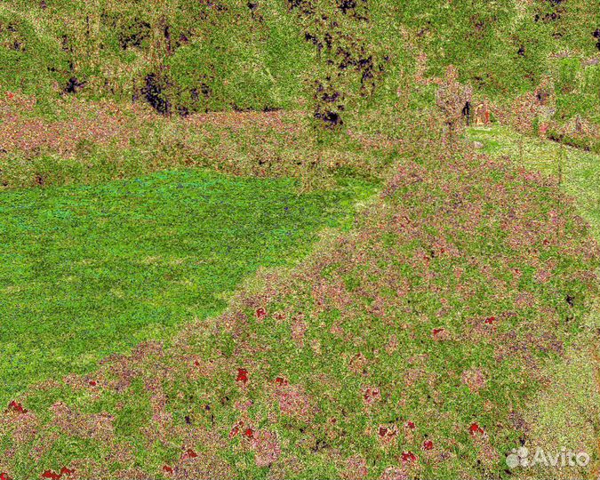 Рулонный газон