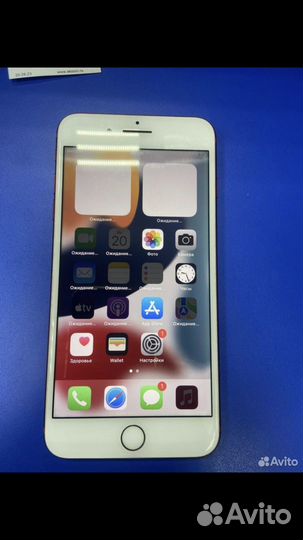 iPhone 7 plus