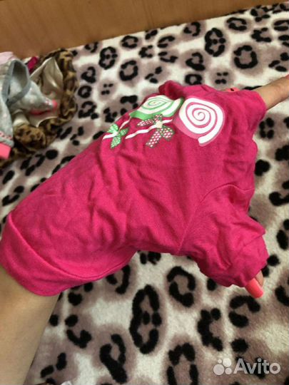 Вещи для маленьких собак