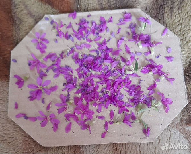 Пресс для гербария, сухоцветов