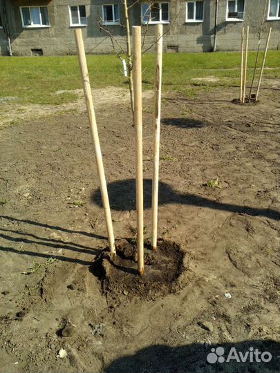Колышки для саженцев круглые 45мм
