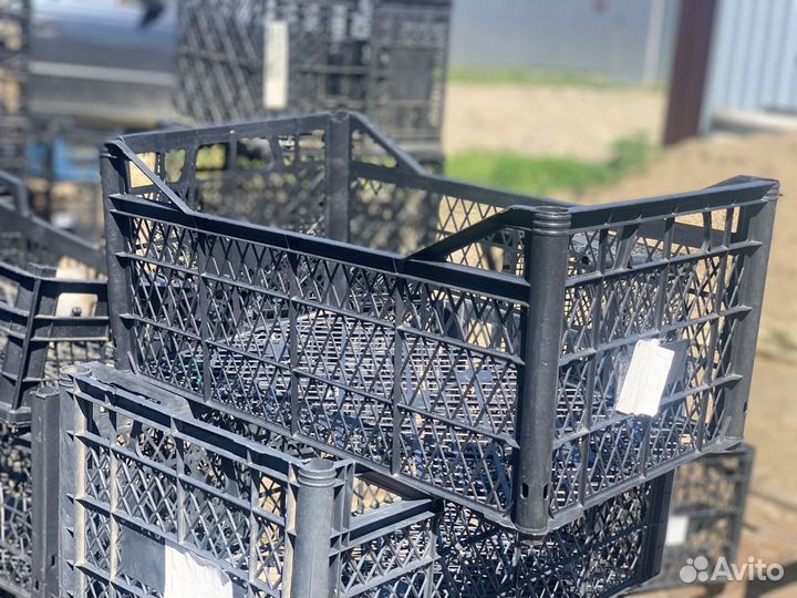 Ящики Апельсиновые