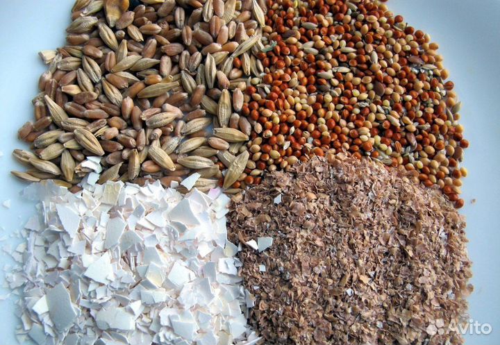 Корма для животных