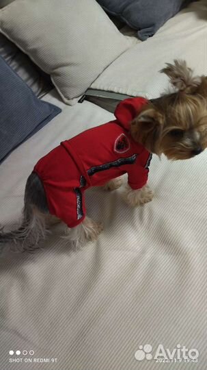 Комбинезон для маленькой собаки