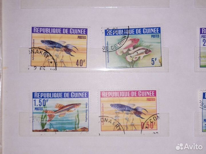 Марки 1964 Гвинея 
