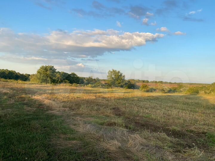 Участок 100 сот. (СНТ, ДНП)