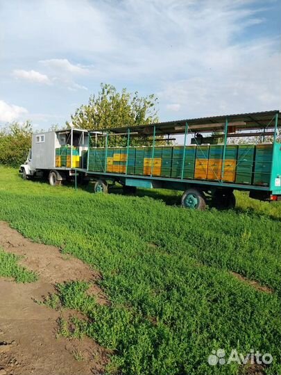 Мед с личной пасеки