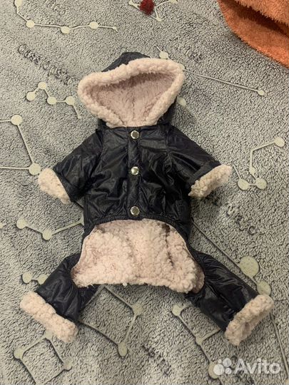 Курточка для собачки мини