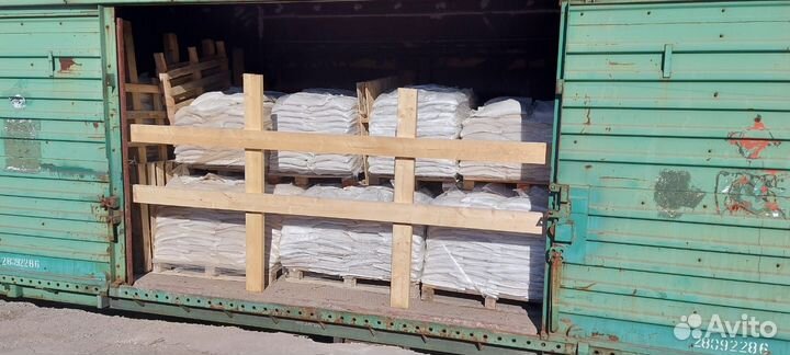 Ракушка морская кормовая