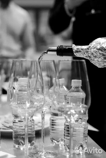 Винное казино