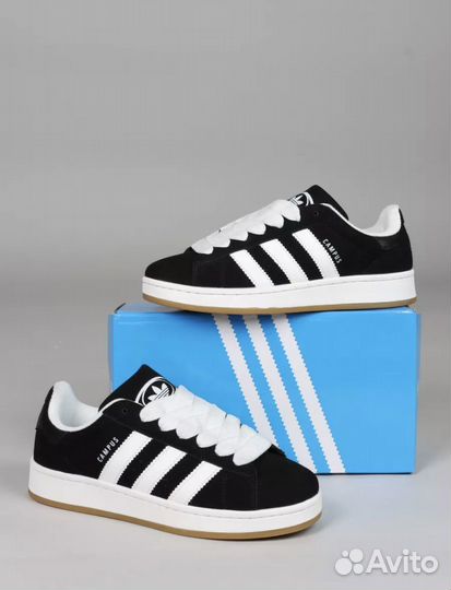 Adidas campus (Premium Replica)