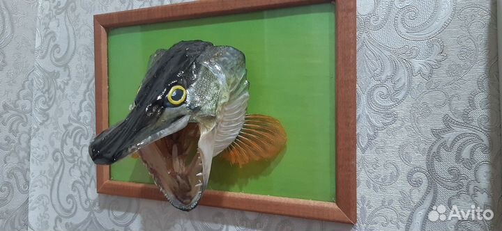 Чучело рыбы