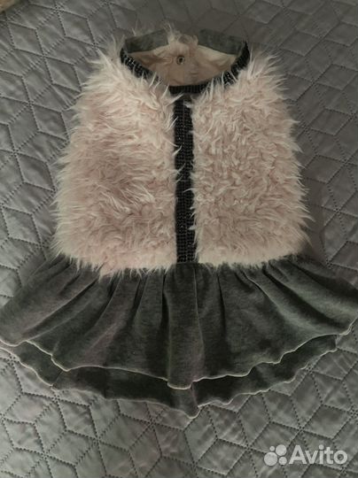 Одежда для собак