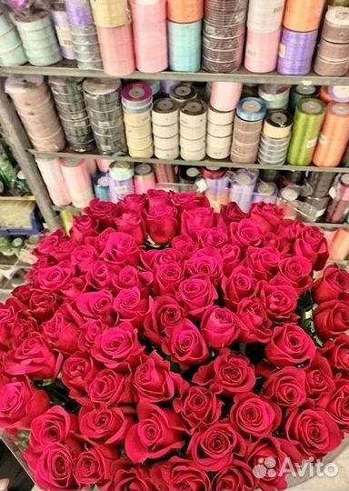 Высокие Розы с Доставкой