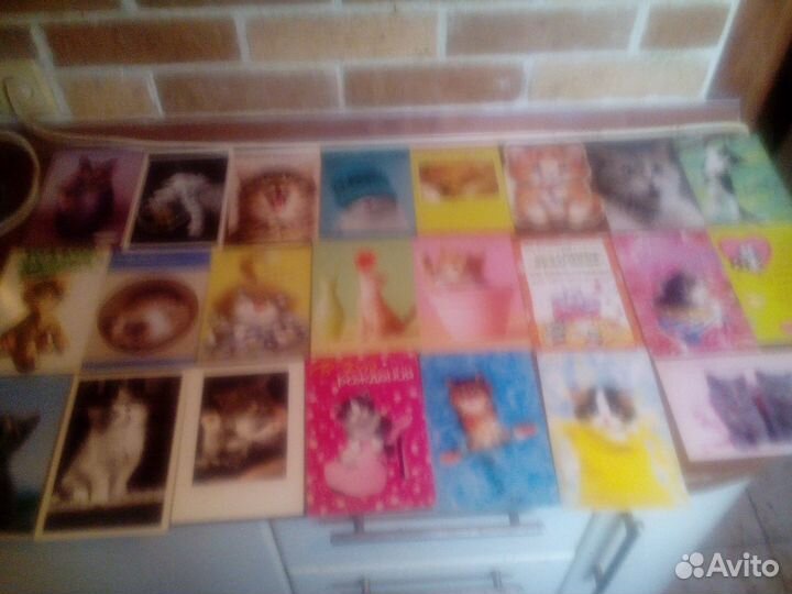 Открытки кошки новые