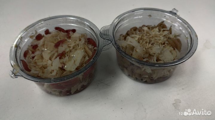 Мотыль, червь, опарыш