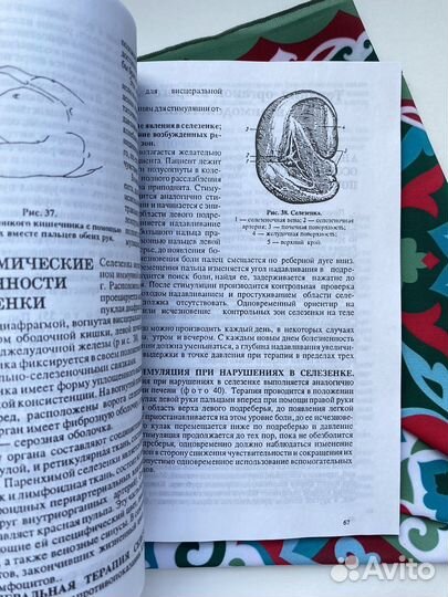 Висцеральная хиропрактика в старорусской медицине