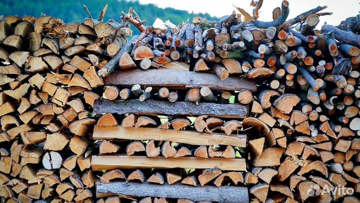 Дрова свежие