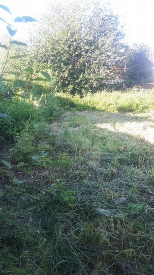 Участок 11 сот. (ИЖС)