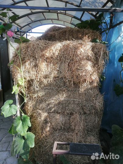 Сено люцерны в тюках