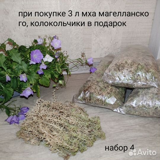 Растения набором