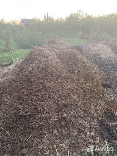 Конский навоз