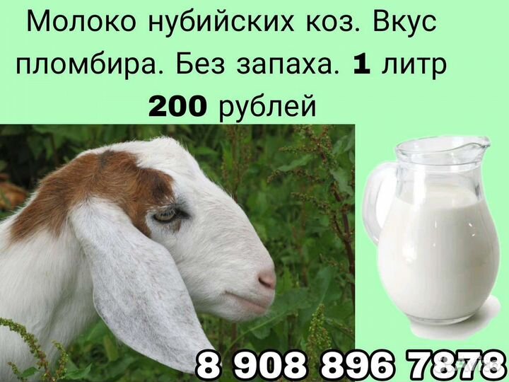 Молочные продукты