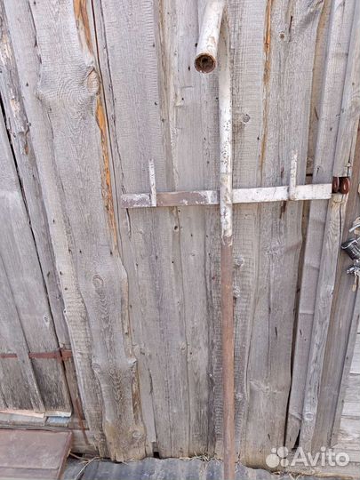 Гусак электрический