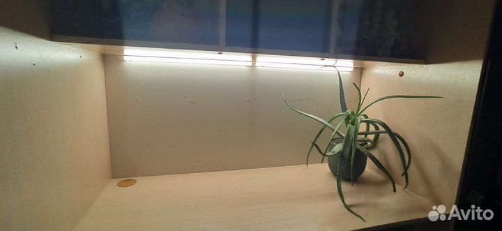 Детская кровать чердак со столом и шкафом