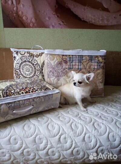 Покрывало непромокаемое