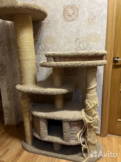 Когтеточка