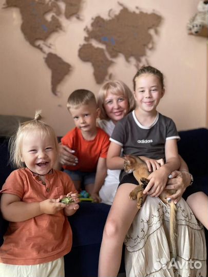 Няня для ребенка Адлер