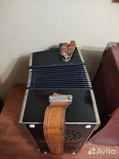 Баян тульский