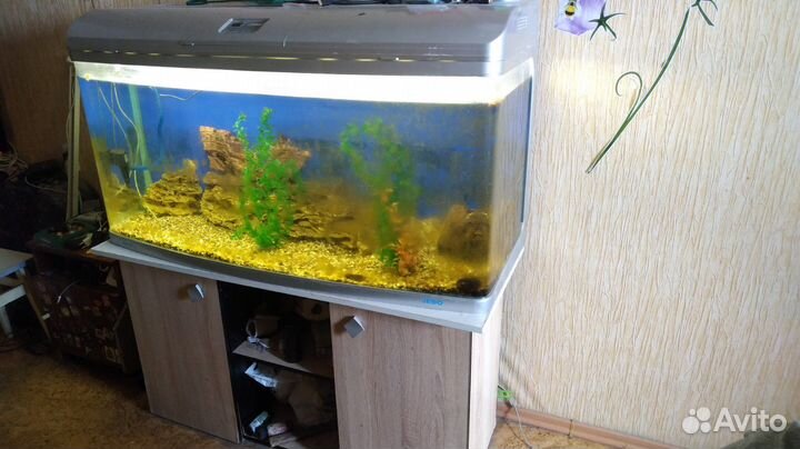Аквариум jebo 289 литров с тумбой