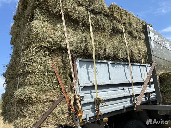 Сено и солома