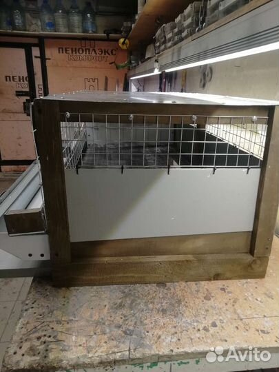 Клетка для содержания перепелов, куриц