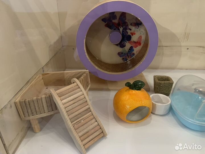 Продам витрину для хомяков и аксессуары