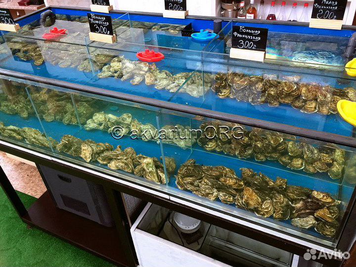 Аквариум витрина для устриц и морепродуктов. Новая