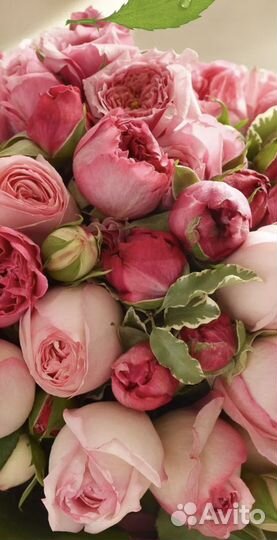 Розы оптом