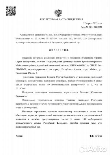 Списание долгов, Финансовый управляющий