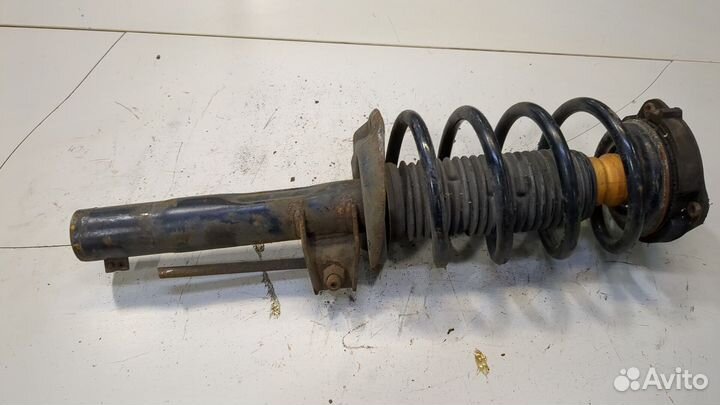 Амортизатор подвески Skoda Octavia (A5), 2010