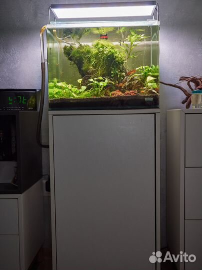 Пресноводный аквариум-травник на 55 литров