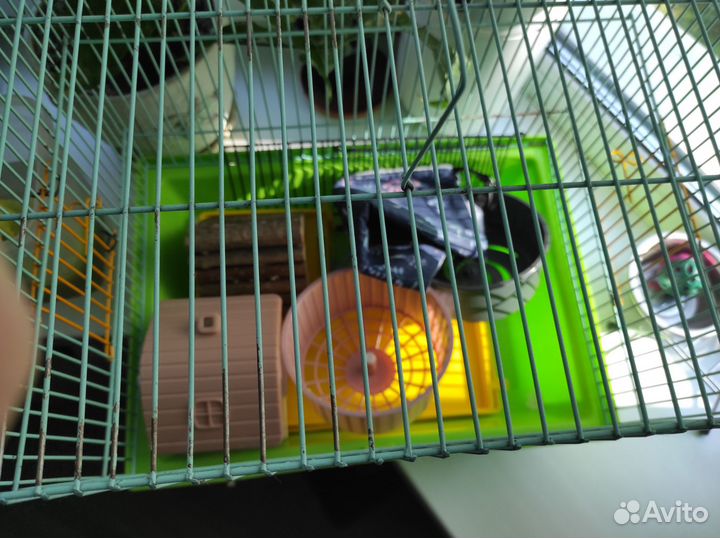 Клетка для грызунов бу