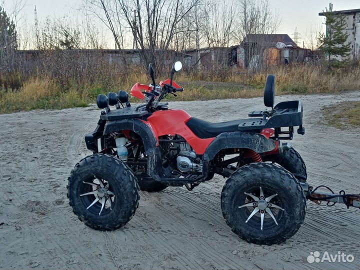 Tiger MAX grade 300