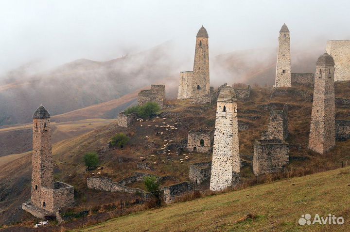 Взойди на гору приключений и открытий