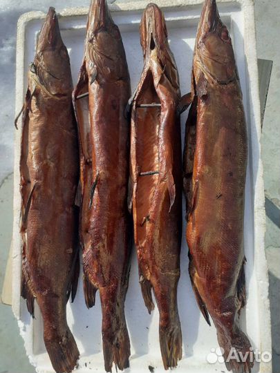 Купить Копченую рыбу
