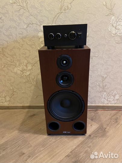 Акустическая система